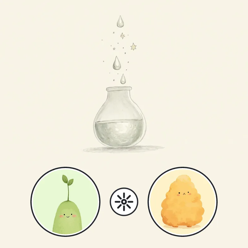 갑목 × 무토 스파크